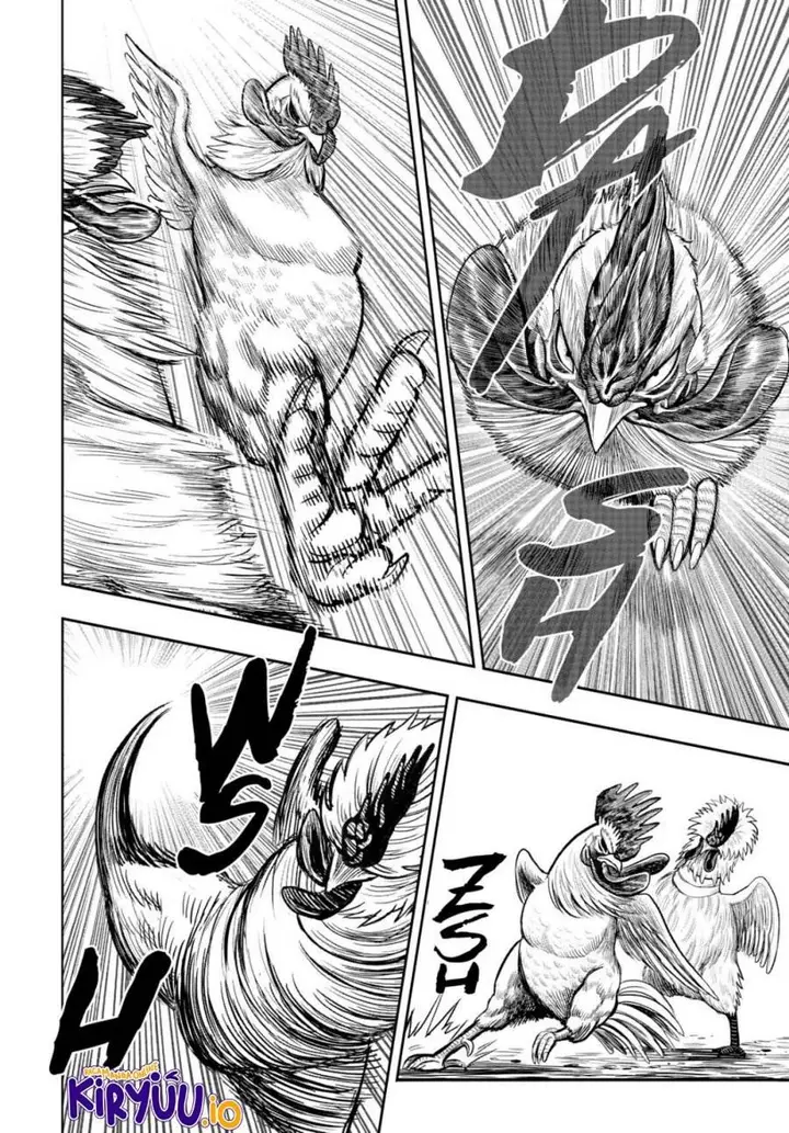 image-komik-rooster-fighter-chapter-19-28/41