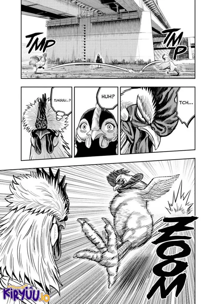 image-komik-rooster-fighter-chapter-19-31/41