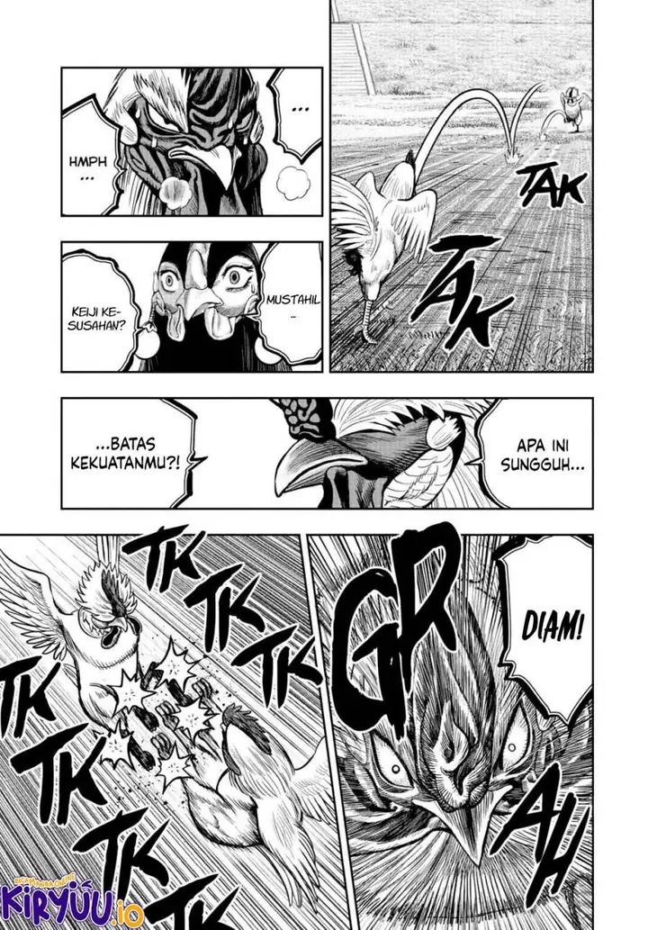 image-komik-rooster-fighter-chapter-19-33/41