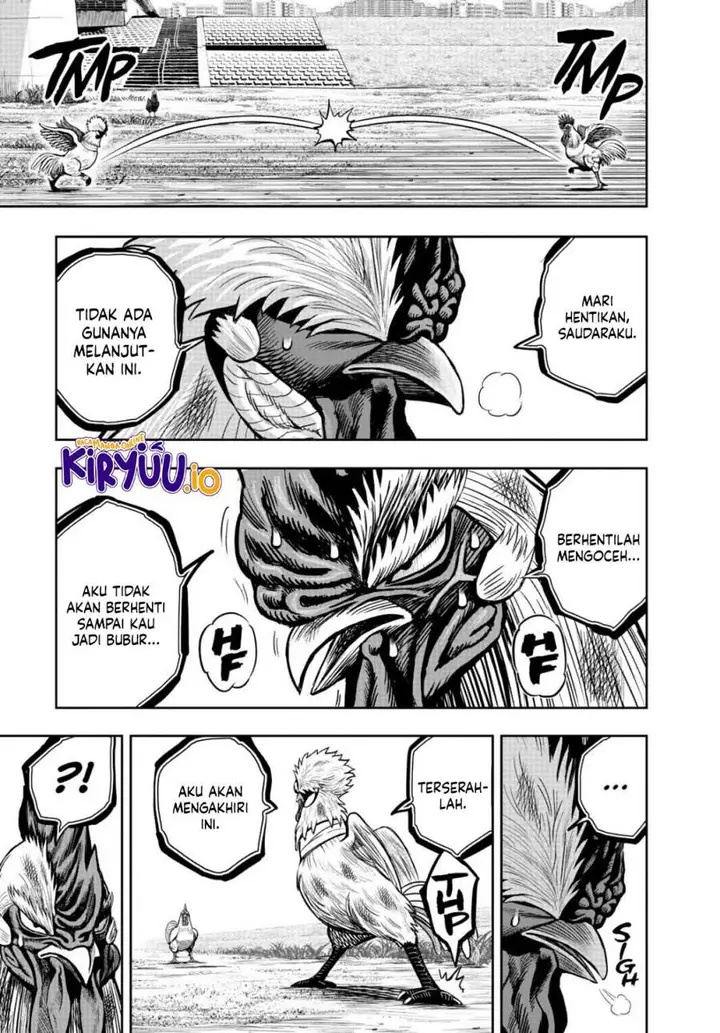 image-komik-rooster-fighter-chapter-19-35/41
