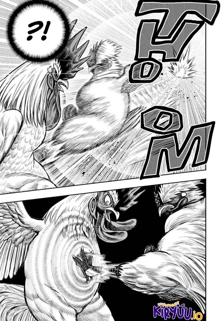 image-komik-rooster-fighter-chapter-19-37/41