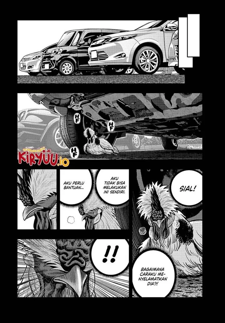 image-komik-rooster-fighter-chapter-20-41/49