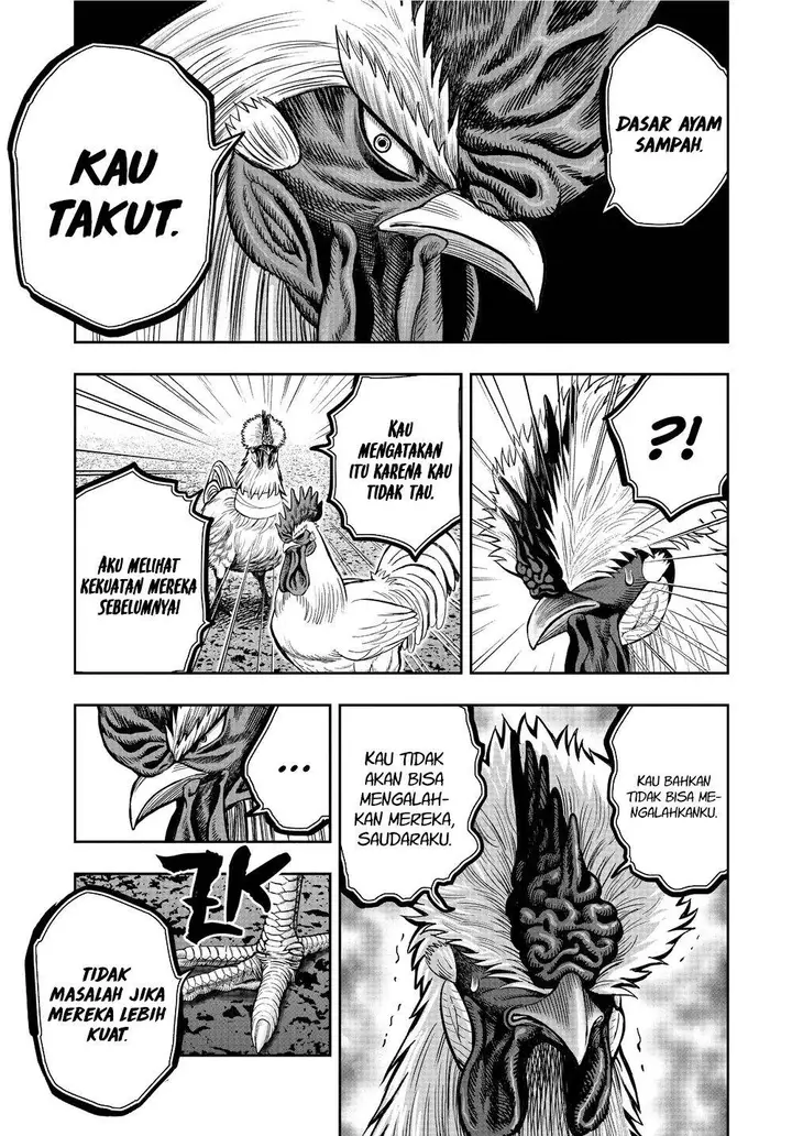 image-komik-rooster-fighter-chapter-21-30/41