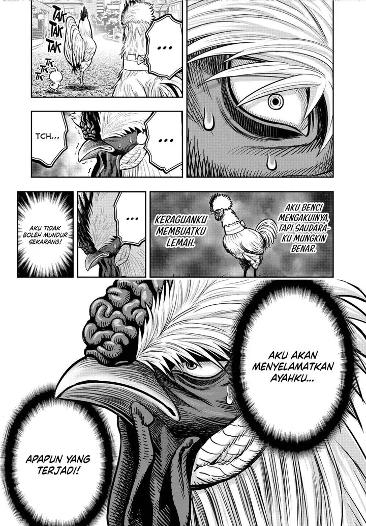 image-komik-rooster-fighter-chapter-21-32/41
