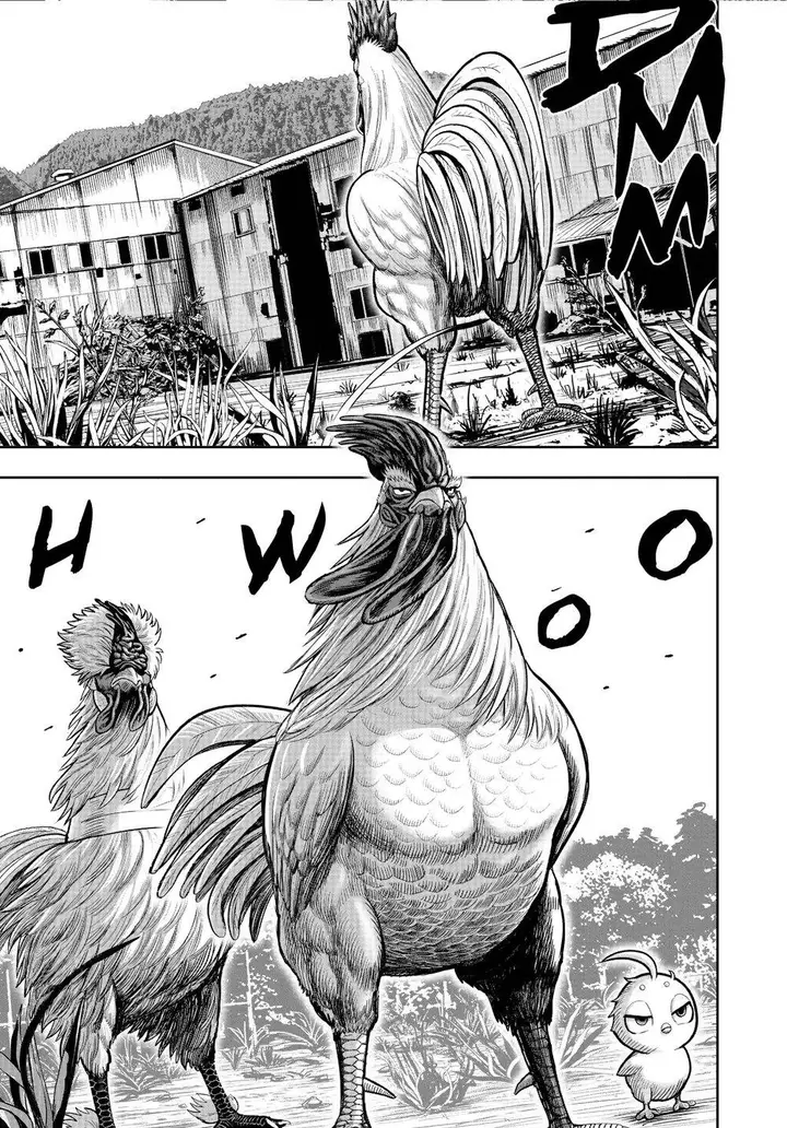 image-komik-rooster-fighter-chapter-21-38/41