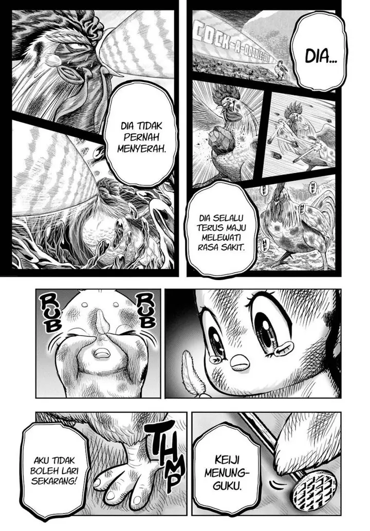 image-komik-rooster-fighter-chapter-24-43/54