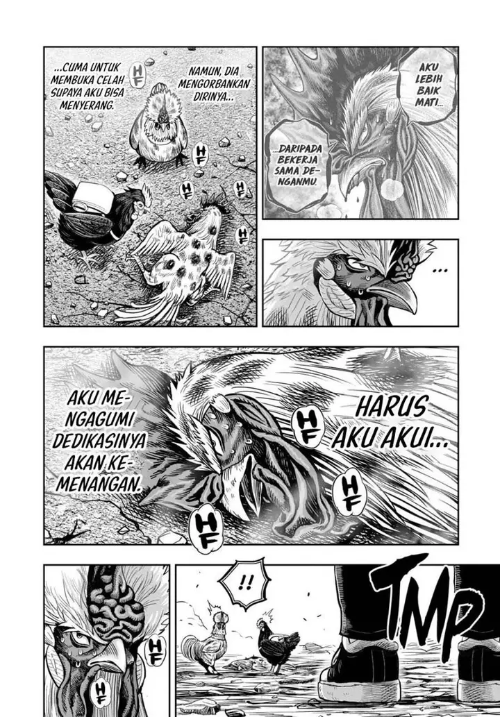 image-komik-rooster-fighter-chapter-25-58/61