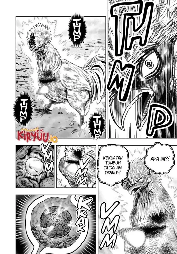 image-komik-rooster-fighter-chapter-27-46/53