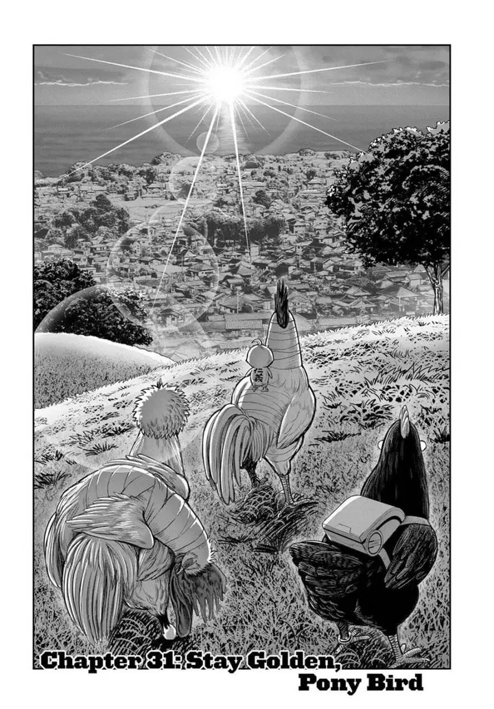 image-komik-rooster-fighter-chapter-31-1/33