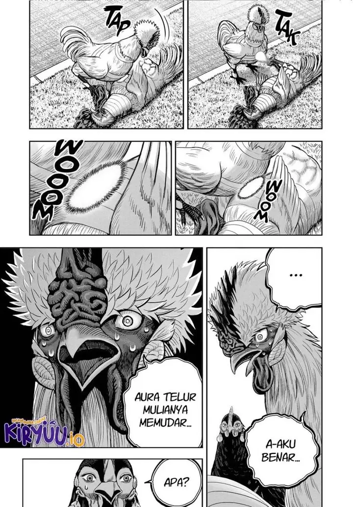 image-komik-rooster-fighter-chapter-34-15/41