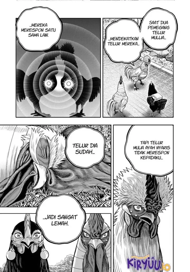 image-komik-rooster-fighter-chapter-34-17/41