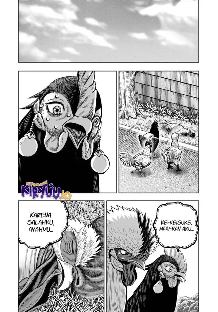 image-komik-rooster-fighter-chapter-34-37/41