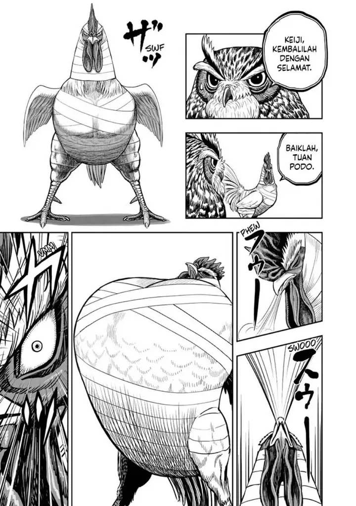 image-komik-rooster-fighter-chapter-49-5/39