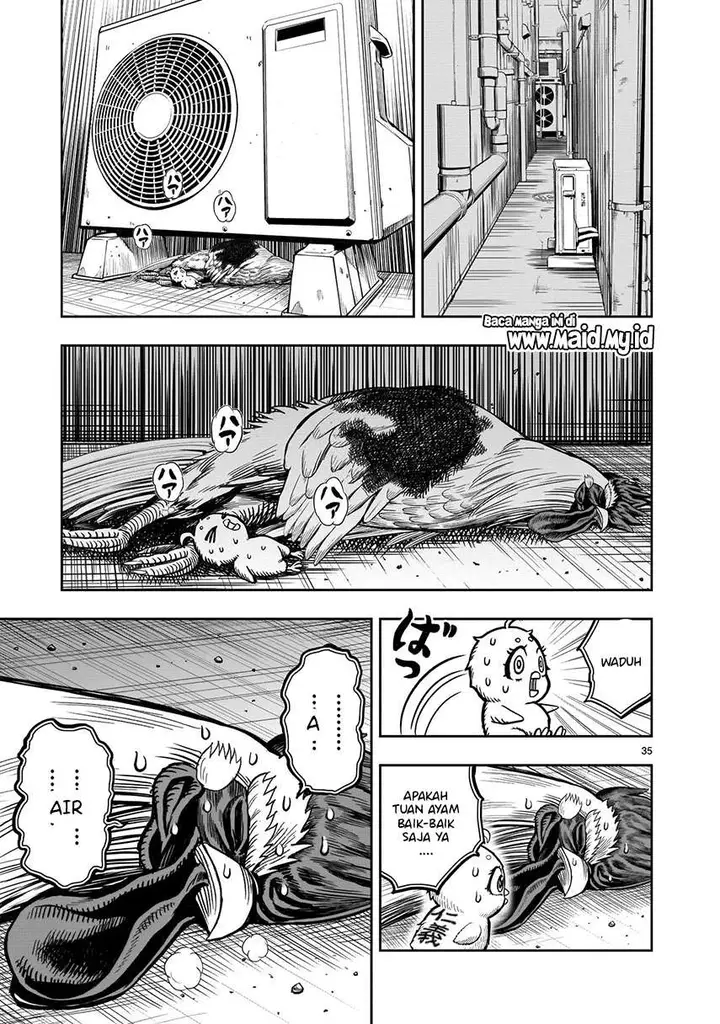 image-komik-rooster-fighter-chapter-6-36/51