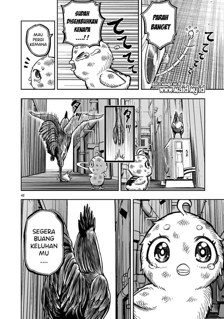 image-komik-rooster-fighter-chapter-6-43/51