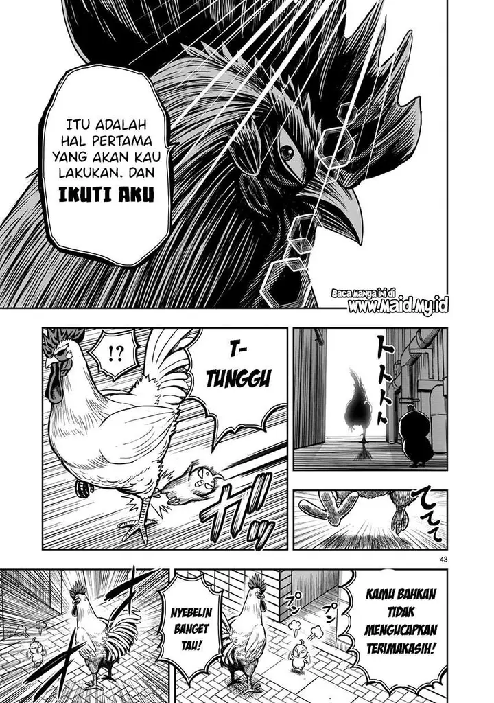 image-komik-rooster-fighter-chapter-6-44/51