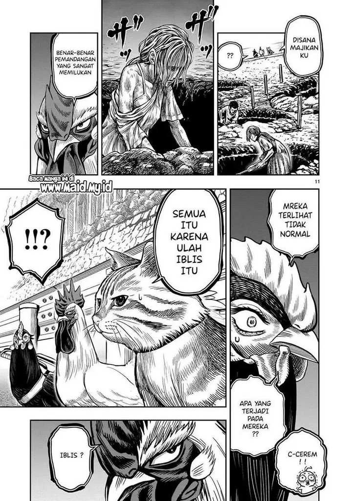 image-komik-rooster-fighter-chapter-9-12/39