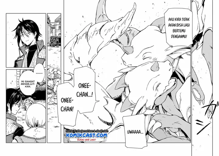 image-komik-s-kyuu-guild-wo-tsuihou-saretakedo-jitsu-wa-ore-dake-dragon-no-kotoba-ga-wakaru-no-de-kidzuita-toki-ni-wa-ryuu-kishi-no-chouten-wo-kiwametemashita-chapter-1-31/43