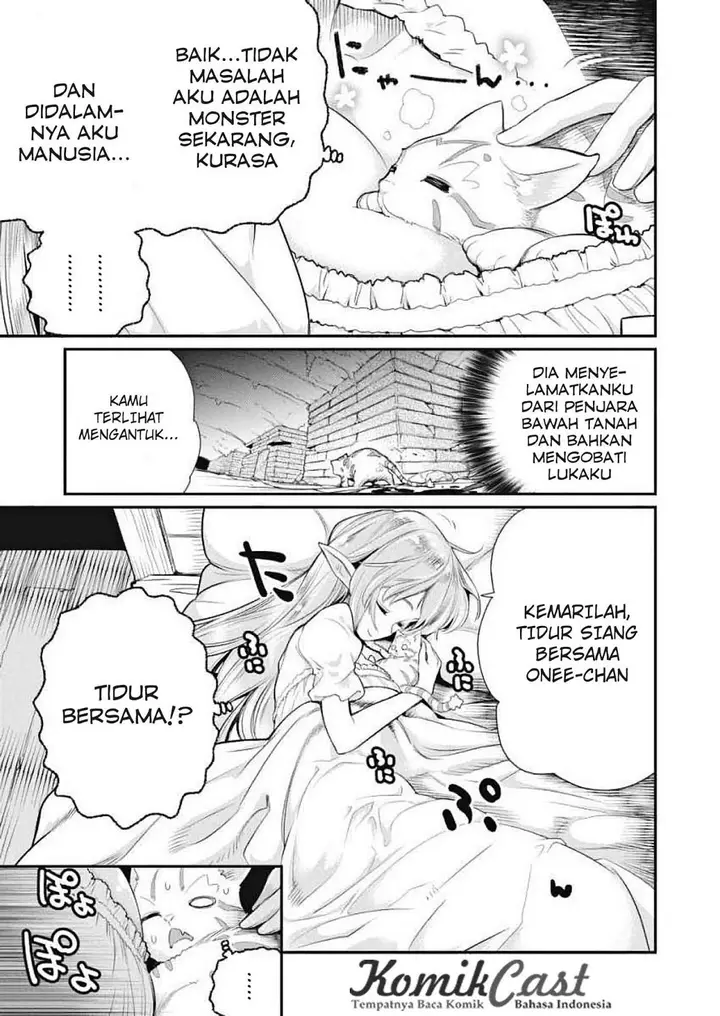 image-komik-s-rank-monster-no-behemoth-dakedo-neko-to-machigawarete-erufu-musume-no-kishi-pet-toshite-kurashitemasu-chapter-1-9/29