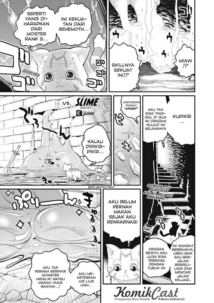 image-komik-s-rank-monster-no-behemoth-dakedo-neko-to-machigawarete-erufu-musume-no-kishi-pet-toshite-kurashitemasu-chapter-1-11/29