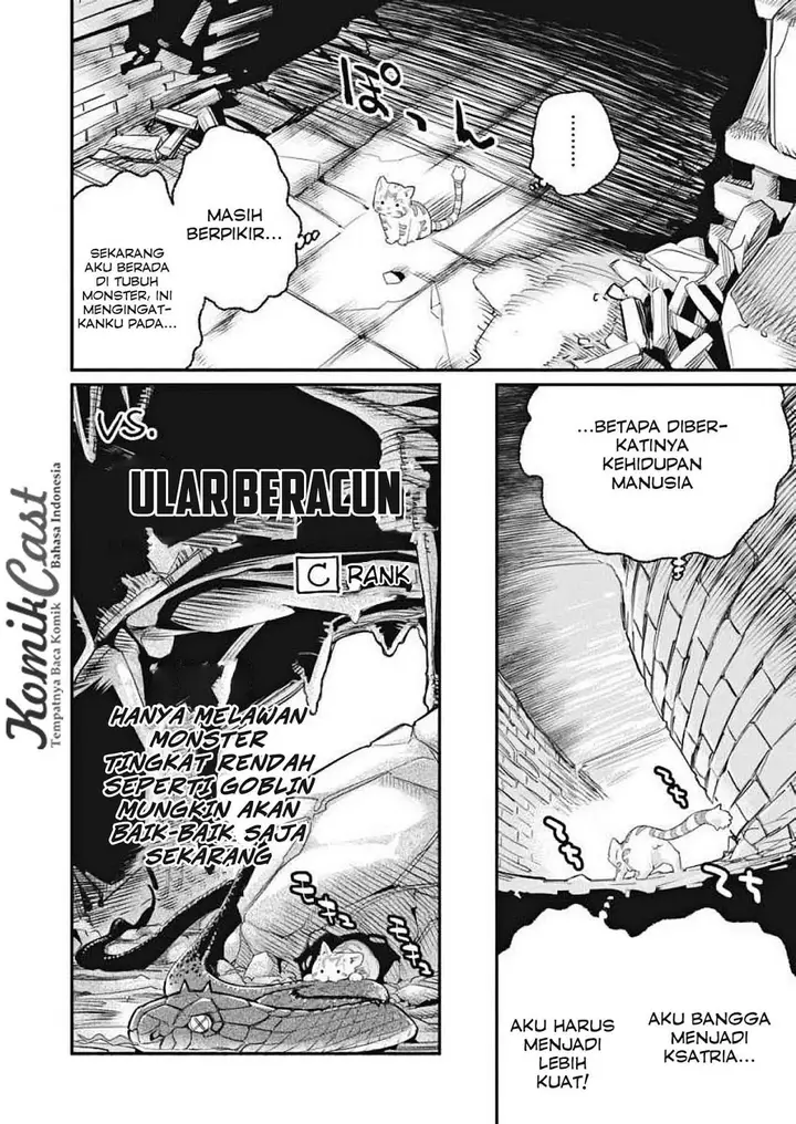 image-komik-s-rank-monster-no-behemoth-dakedo-neko-to-machigawarete-erufu-musume-no-kishi-pet-toshite-kurashitemasu-chapter-1-14/29