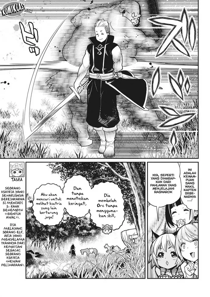 image-komik-s-rank-monster-no-behemoth-dakedo-neko-to-machigawarete-erufu-musume-no-kishi-pet-toshite-kurashitemasu-chapter-11-5/25
