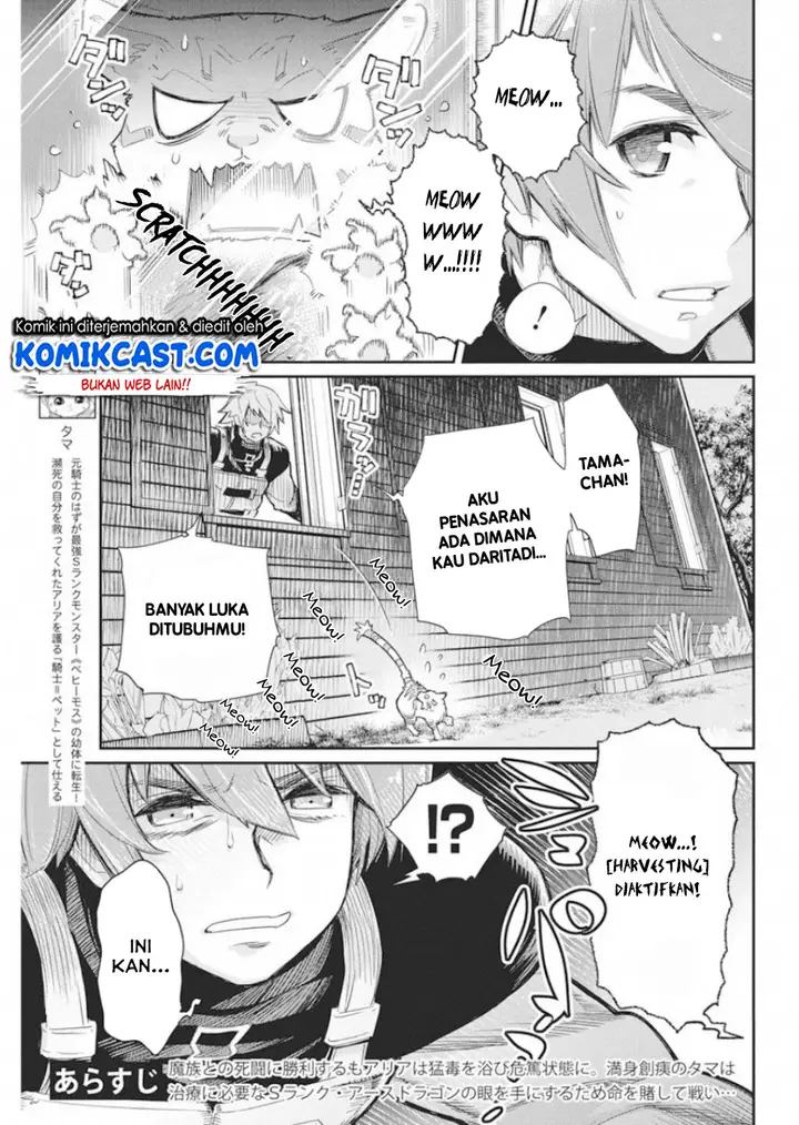 image-komik-s-rank-monster-no-behemoth-dakedo-neko-to-machigawarete-erufu-musume-no-kishi-pet-toshite-kurashitemasu-chapter-16-18/25