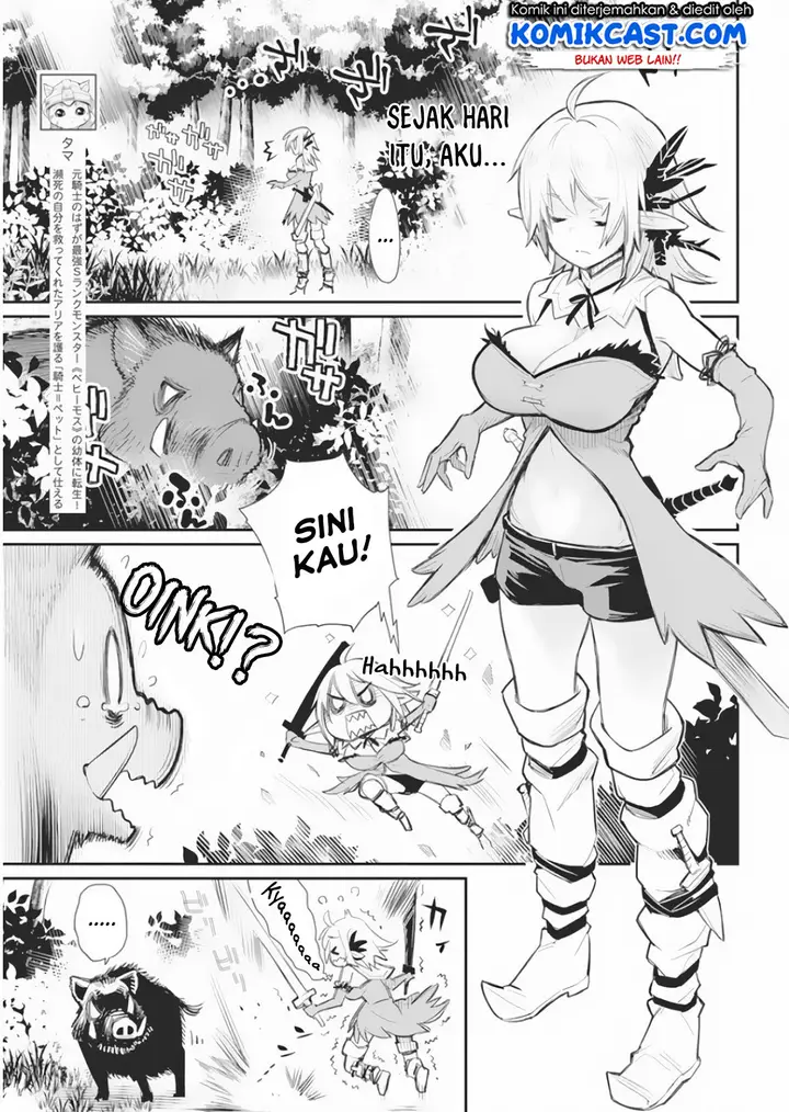 image-komik-s-rank-monster-no-behemoth-dakedo-neko-to-machigawarete-erufu-musume-no-kishi-pet-toshite-kurashitemasu-chapter-17-4/24