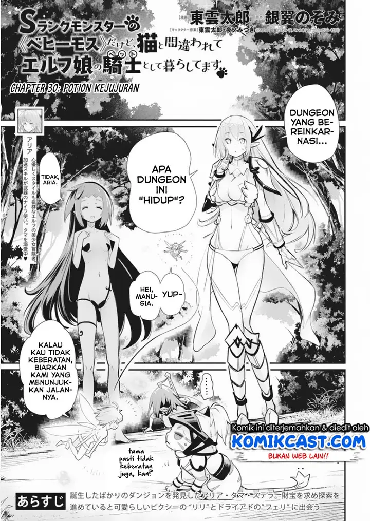 image-komik-s-rank-monster-no-behemoth-dakedo-neko-to-machigawarete-erufu-musume-no-kishi-pet-toshite-kurashitemasu-chapter-30-0/23