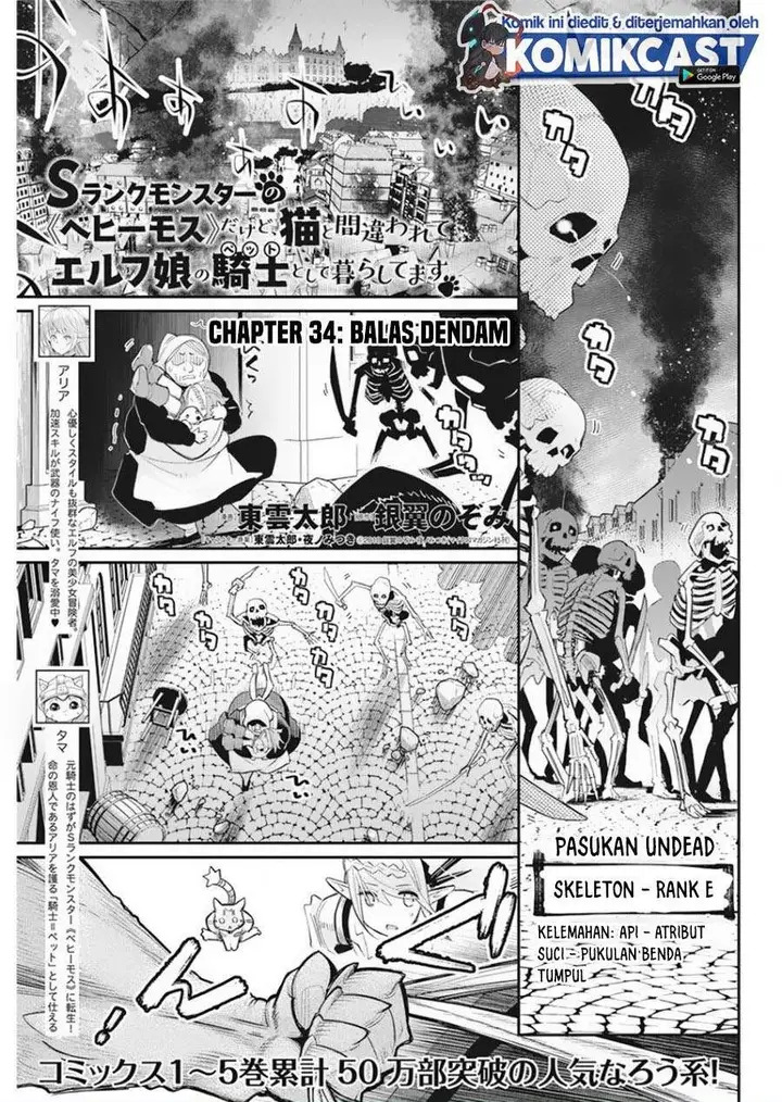 image-komik-s-rank-monster-no-behemoth-dakedo-neko-to-machigawarete-erufu-musume-no-kishi-pet-toshite-kurashitemasu-chapter-34-0/21