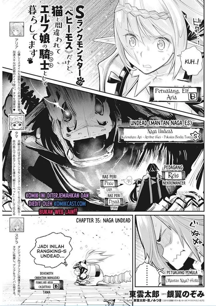 image-komik-s-rank-monster-no-behemoth-dakedo-neko-to-machigawarete-erufu-musume-no-kishi-pet-toshite-kurashitemasu-chapter-35-0/21