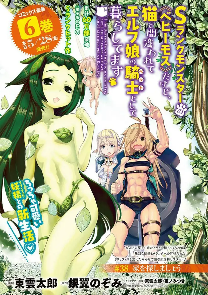 image-komik-s-rank-monster-no-behemoth-dakedo-neko-to-machigawarete-erufu-musume-no-kishi-pet-toshite-kurashitemasu-chapter-38-0/25
