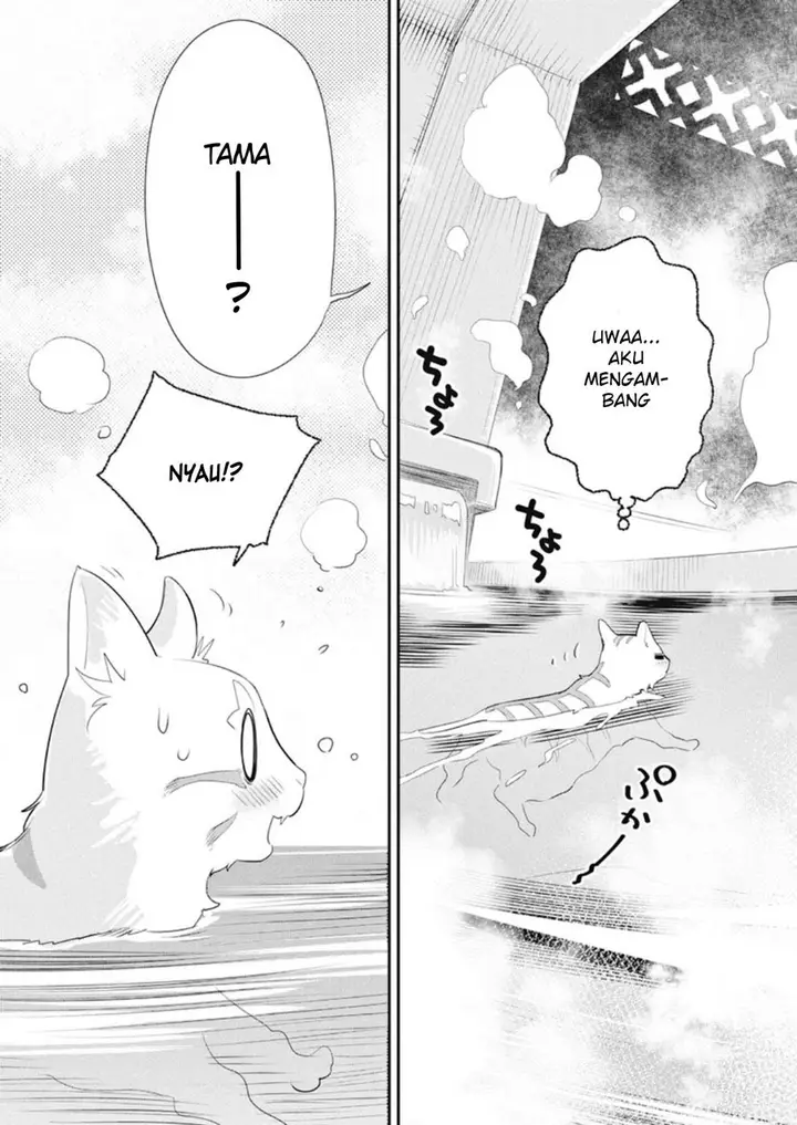 image-komik-s-rank-monster-no-behemoth-dakedo-neko-to-machigawarete-erufu-musume-no-kishi-pet-toshite-kurashitemasu-chapter-4-6/28