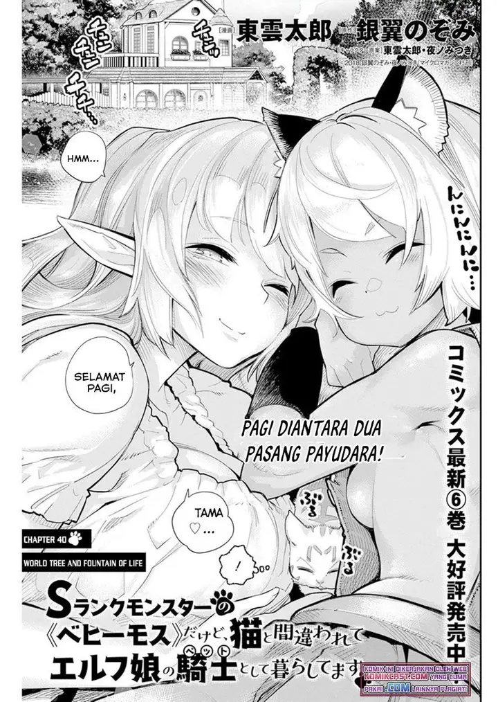 image-komik-s-rank-monster-no-behemoth-dakedo-neko-to-machigawarete-erufu-musume-no-kishi-pet-toshite-kurashitemasu-chapter-40-0/24