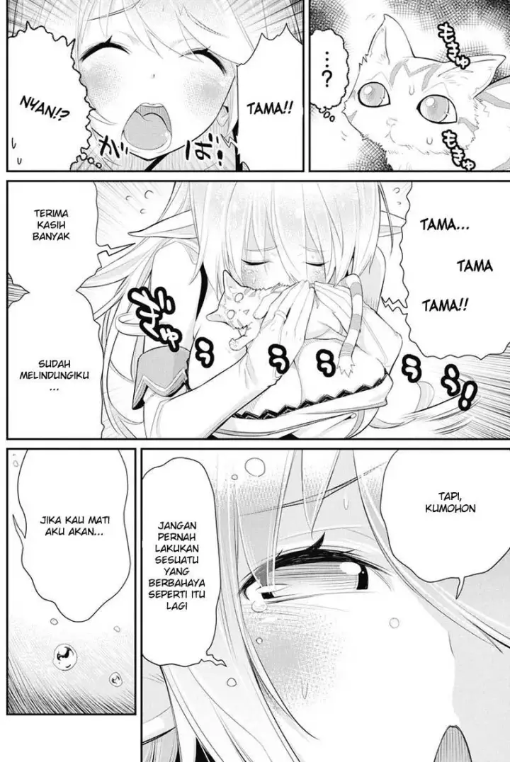 image-komik-s-rank-monster-no-behemoth-dakedo-neko-to-machigawarete-erufu-musume-no-kishi-pet-toshite-kurashitemasu-chapter-6-19/26