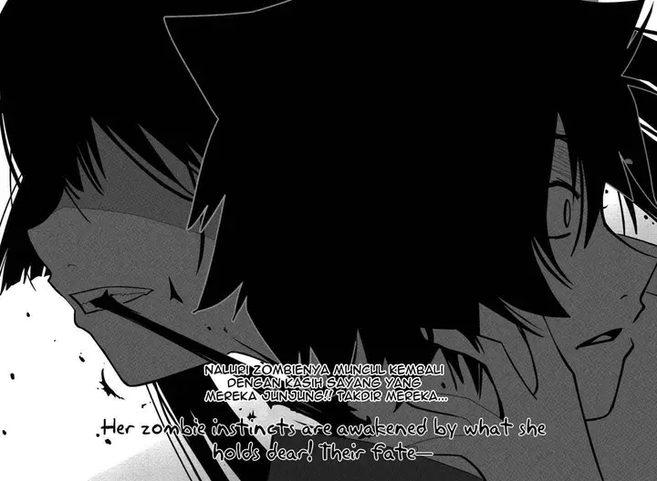 image-komik-sankarea-chapter-16-23/25