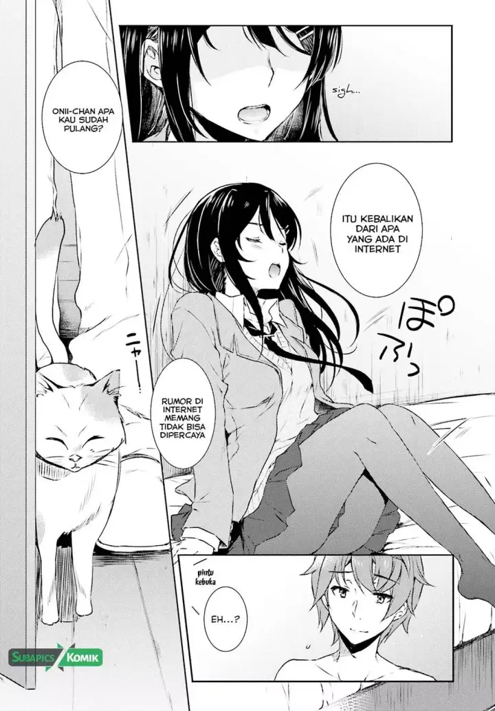 image-komik-seishun-buta-yarou-wa-bunny-girl-senpai-no-yume-wo-minai-chapter-04-22/25