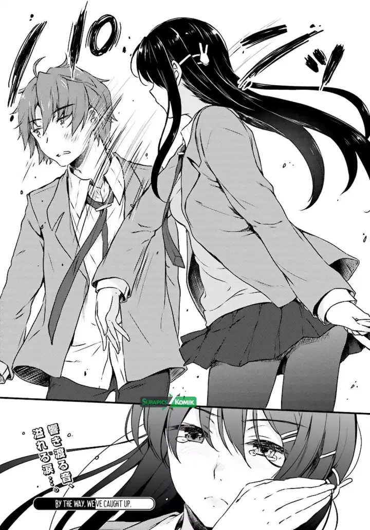 image-komik-seishun-buta-yarou-wa-bunny-girl-senpai-no-yume-wo-minai-chapter-08-17/18