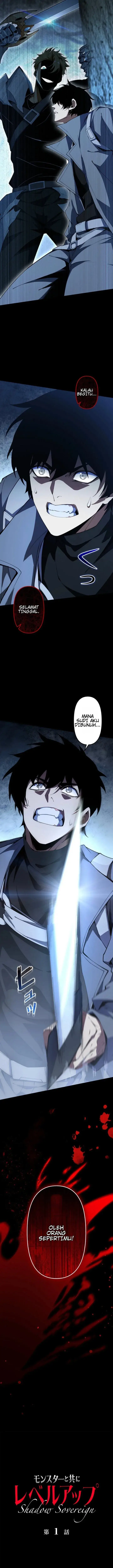 image-komik-shadow-sovereign-leveling-up-with-monsters-chapter-1-3/33