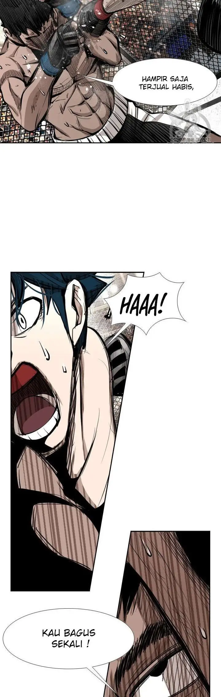 image-komik-shark-chapter-161-24/42