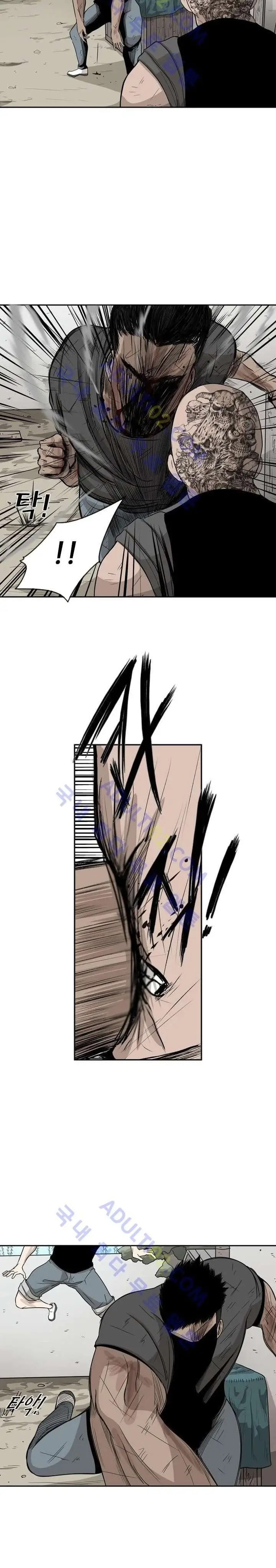 image-komik-shark-chapter-24-31/37