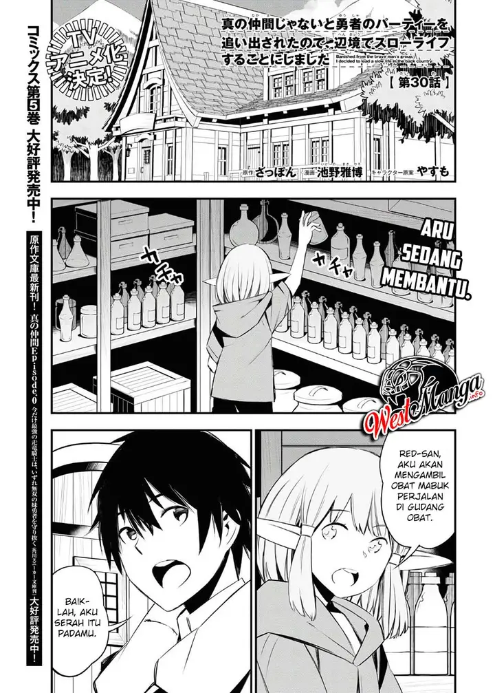 image-komik-shin-no-nakama-janai-to-yuusha-no-party-wo-oidasareta-node-henkyou-de-slow-life-suru-koto-ni-shimashita-chapter-30-2/42