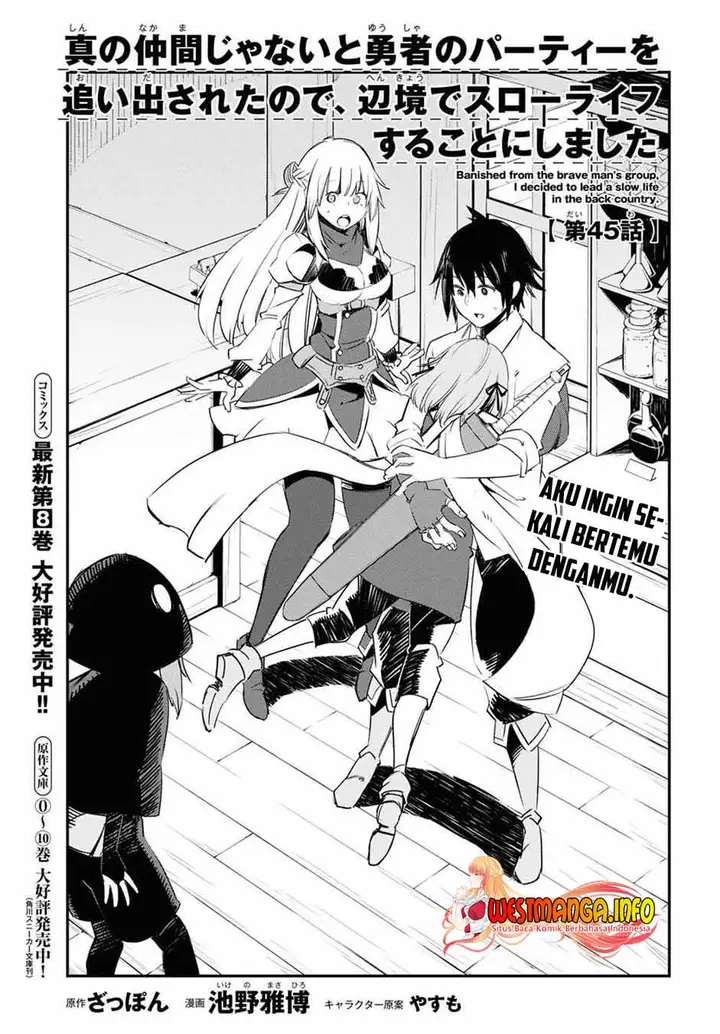 image-komik-shin-no-nakama-janai-to-yuusha-no-party-wo-oidasareta-node-henkyou-de-slow-life-suru-koto-ni-shimashita-chapter-45-2/36