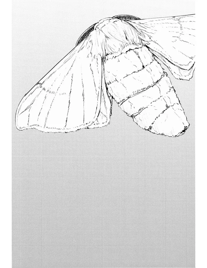 image-komik-shiragasane-layers-of-white-chapter-02-1/39