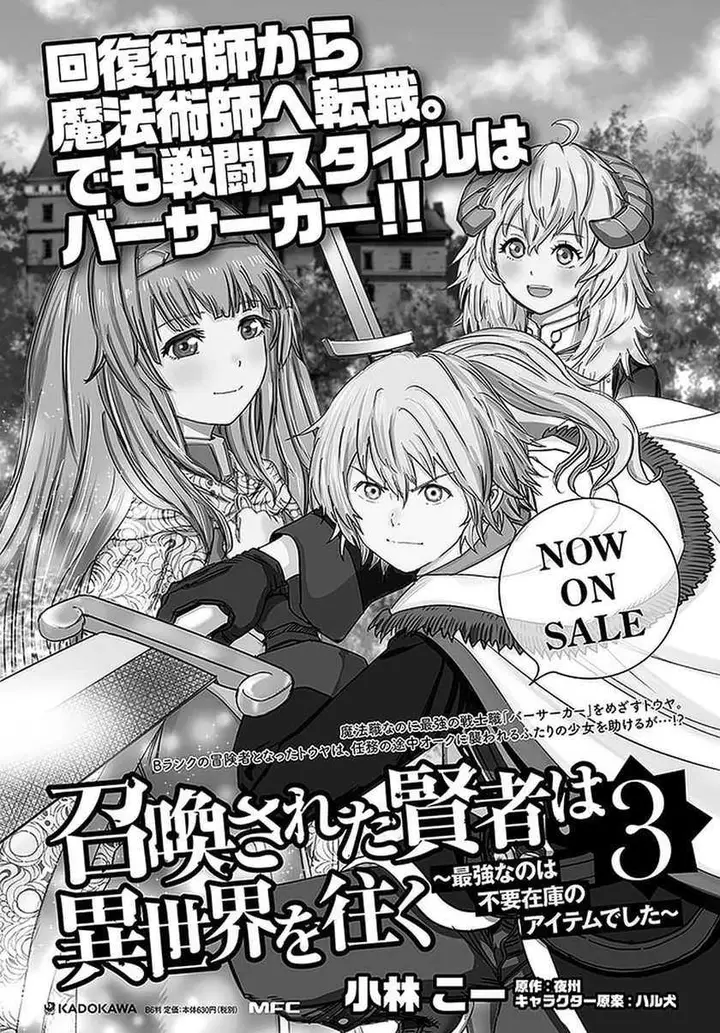 image-komik-shoukan-sareta-kenja-wa-isekai-o-iku-saikyouna-no-wa-fuyou-zaiko-no-aitemudeshita-chapter-17-40/41