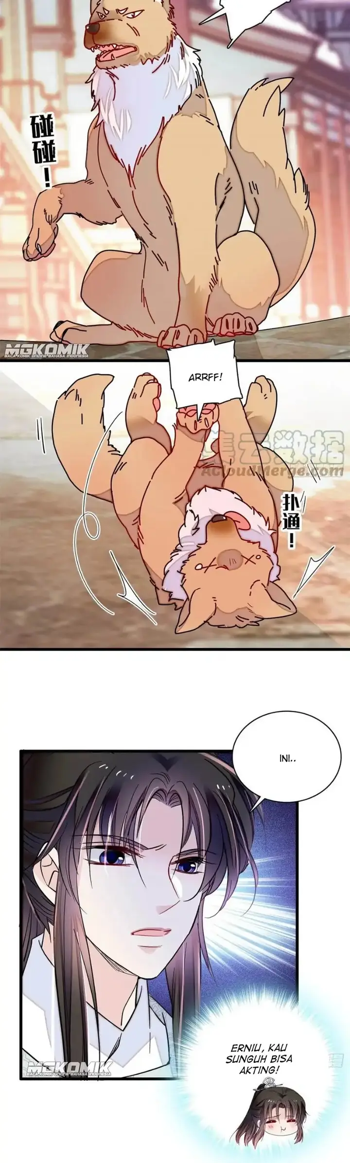 image-komik-sijin-chapter-218-17/20
