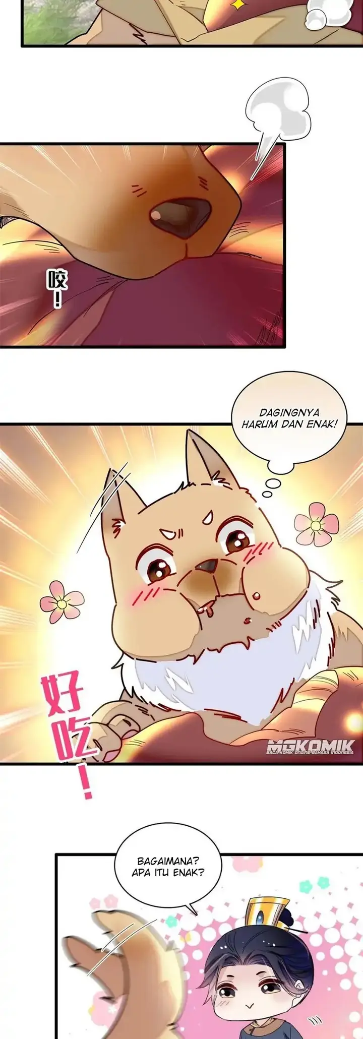 image-komik-sijin-chapter-237-14/25