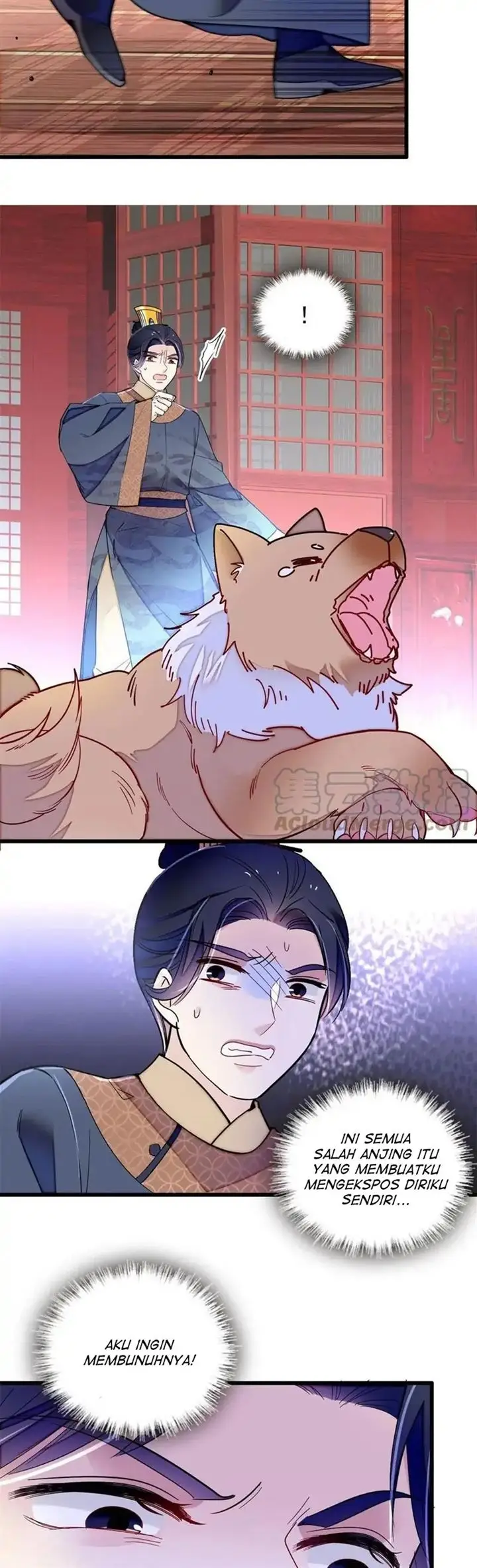 image-komik-sijin-chapter-247-16/20