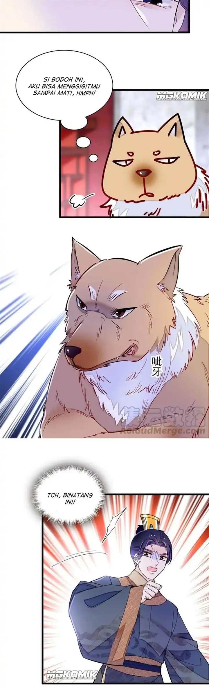 image-komik-sijin-chapter-247-17/20