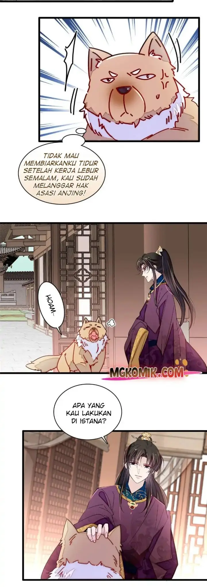 image-komik-sijin-chapter-258-16/25